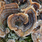 P1060296